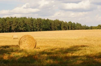 Органічні засоби захисту рослин — продукція САММІТ-АГРО ЮКРЕЙН