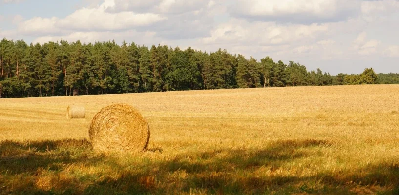 Органічні засоби захисту рослин — продукція САММІТ-АГРО ЮКРЕЙН
